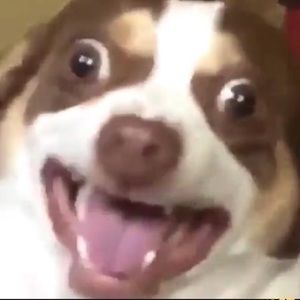 Meet your Posher, Nattie